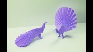 How to make a paper Peacock [upl. by Biegel761]