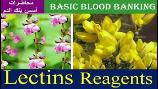 Lecture 41 Lectins Reagents [upl. by Akilam489]