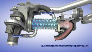 BorgWarner EGR System for Passenger Vehicle Applications [upl. by Marrin826]