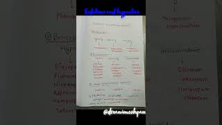 Sedatives amp Hypnotics Classificationmechanism of actionCNS activity drug Pharmacologychemistry [upl. by Sydalg]