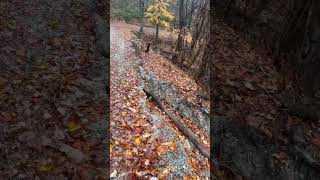 landslide took the shoulder of Roseboro road chiefsholsters helene helendamage hiking wnc [upl. by Ettenhoj474]