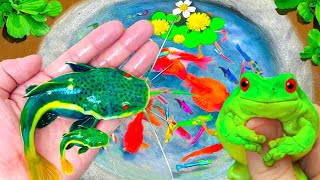 Amazing Catch Tiny Ornamental Pufferfish Turtles Ornamental Fish Koi Striped Fish Angelfish [upl. by Eikcuhc]