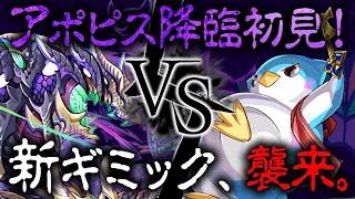 【パズドラ】今後ヤバそうな新ギミック実装！アポピス降臨にメニットでめにめにっと初見チャレンジ！【あっき〜】 [upl. by Cecilius457]