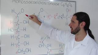 Bioquímica clínica  Teste glicose Procedimento [upl. by Ahtis]