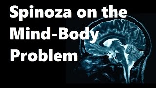 Spinoza On the MindBody Problem [upl. by Shannah]