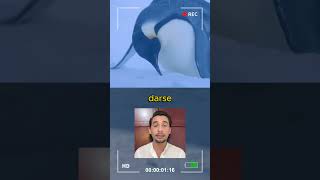 Fotografos hacen empatia por los pingüinos 🥳🤯lasmascotasdeadri pinguinos animales historiareal [upl. by Isnam31]