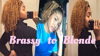 How to Tone Natural Hair  From Brassy  Orange to Blonde [upl. by Kip142]