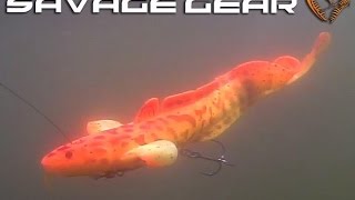 Testing new Savage Gear 3D Burbot lure 25 cm [upl. by Ginger]