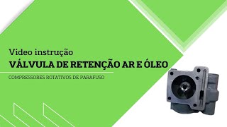 Funcionamento da Válvula de Retenção ar e óleo do compressor rotativo de parafuso [upl. by Laurie]