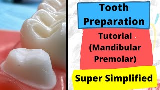 Crown Preparation TIPS and TRICKS  Mandibular Premolar Zirconia crown [upl. by Pillihp893]