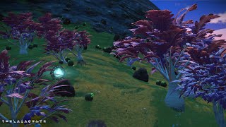 Learning the Base Build Basics  No Mans Sky  VOD [upl. by Hobard246]