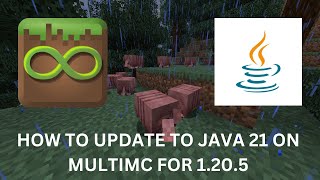 How to Update to Java 21 on MultiMC to play version 12051206 [upl. by Haduj]