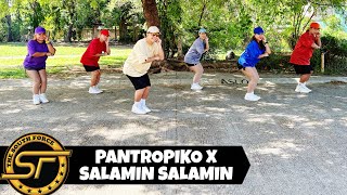 PANTROPIKO X SALAMIN SALAMIN  Bini Mashup  Dance Trends  Dance Fitness  Zumba [upl. by Nyliram]