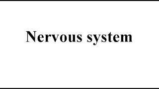 Mastering Neuro ExamComponents of Neurological Assessment Cranial Nerve Assessment GCS Reflexes [upl. by Isdnyl]