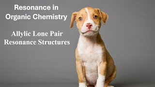 Allylic Lone Pair of Electrons  Resonance Structures for a Molecule with an Allylic Lone Pair [upl. by Nerej]