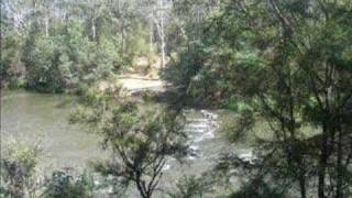 Blue Tongue Bend  Warrandyte State Park [upl. by Conny]