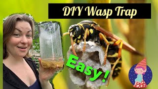 DIY Wasp Trap [upl. by Tolland]