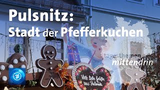 Pulsnitz Stadt der Pfefferkuchen  tagesthemen mittendrin [upl. by Kingdon]