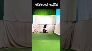 වෙල්ලාලගේගේ කැපවිම 😯 Dunith Wellalage [upl. by Idolah]