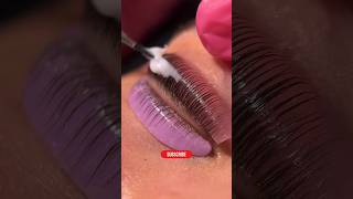 Lash lift tutorial beautiful beauty lashes lashlift shorts horbacholli [upl. by Nayar]