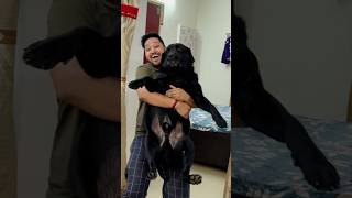 My Dog Hates Bath trending lucky doglover [upl. by Tigram]