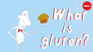 What’s the big deal with gluten  William D Chey [upl. by Carlye]