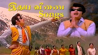 idhaya Veenai Movie Song  MGR Movie Song  MSViswanathan  Bravo Music [upl. by Lirpa]