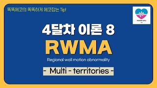 Multiterritories LAD RCA LCX RWMA echocardiography 심장초음파 heart echo view 심장국소벽운동장애 [upl. by Hagile]