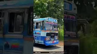 NIrosha enterprise I pulmudecolombu I ND9169 slbus slbusfans shortvideos viralvideos love [upl. by Atsyrhc]