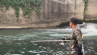 Hunting many fish using snagging [upl. by Llerol911]