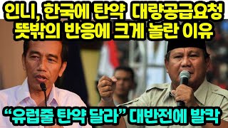 인니 한국에 탄약 긴급 공급요청 뜻밖의 반응에 크게 놀란 이유 “유럽줄 탄약 달라” 대반전에 발칵 [upl. by Elias]