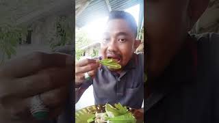 Salam hoby makan mukbang lalapanmentah daunjambumete [upl. by Nsaj]