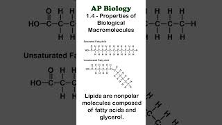 AP Bio  14 Part 4  Lipids apbiology biochemistry [upl. by Anahtor]