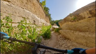 These are fun intermediate MTB trails at Walnut Creek Park in Austin TX [upl. by Celie]