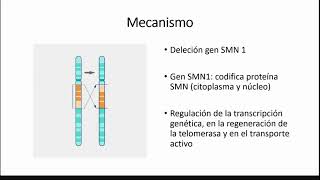 Atrofia Muscular Espinal [upl. by Htenaj]
