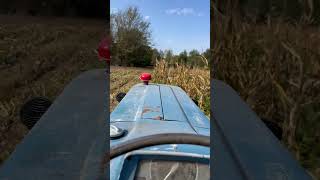 Discing Down Corn Stalks homemade farming homestead farm farmstead tgbtg trending livefree [upl. by Kenweigh929]