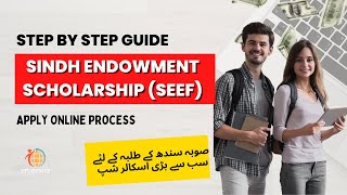 Apply for Sindh Educational Endowment Scholarship 2024 in 5 Minutes [upl. by Peck]