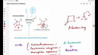 Betalactamase inhibitors [upl. by Ydnor]