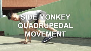 Side Monkey Quadrupedal Movement [upl. by Nesilla761]