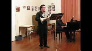 Mozart Horn Concerto no 3 [upl. by Fechter666]