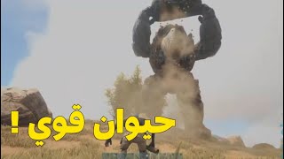 ارك جربت أروض الروك قولم وشوف المفاجأة [upl. by Correna]