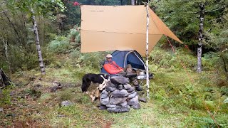 Camping in Rain with my Dog in Ultralight Tent [upl. by Anilasor]