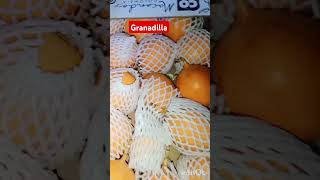 Granadilla fruits fresh youtubeshort പാഷൻ ഫ്രൂട്ട്സ് [upl. by Akerehs]