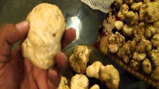 White Truffle [upl. by Scuram]