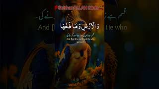 Tilawat Quran Pak  Best Tilawat e Quran In The World  tellawat quran love kalme pak [upl. by Notnilk]