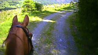 Helmet Cam  Horse Riding in Beddgelert Forest [upl. by Lynnworth]