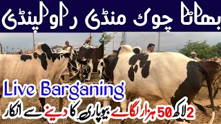 Today bhatta chowk mandi 2024 latest update live bargaining soda na bana [upl. by Nairolf]