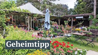 Grüne Oase mit Kaffeeduft Hamburgs verstecktes Gartencafé [upl. by Atinit]