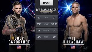 Cody garbrandt vs TJ Dillashaw full fight ufc 217 [upl. by Solberg]