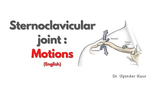 Sternoclavicular joint  Motions  English [upl. by Grayce]